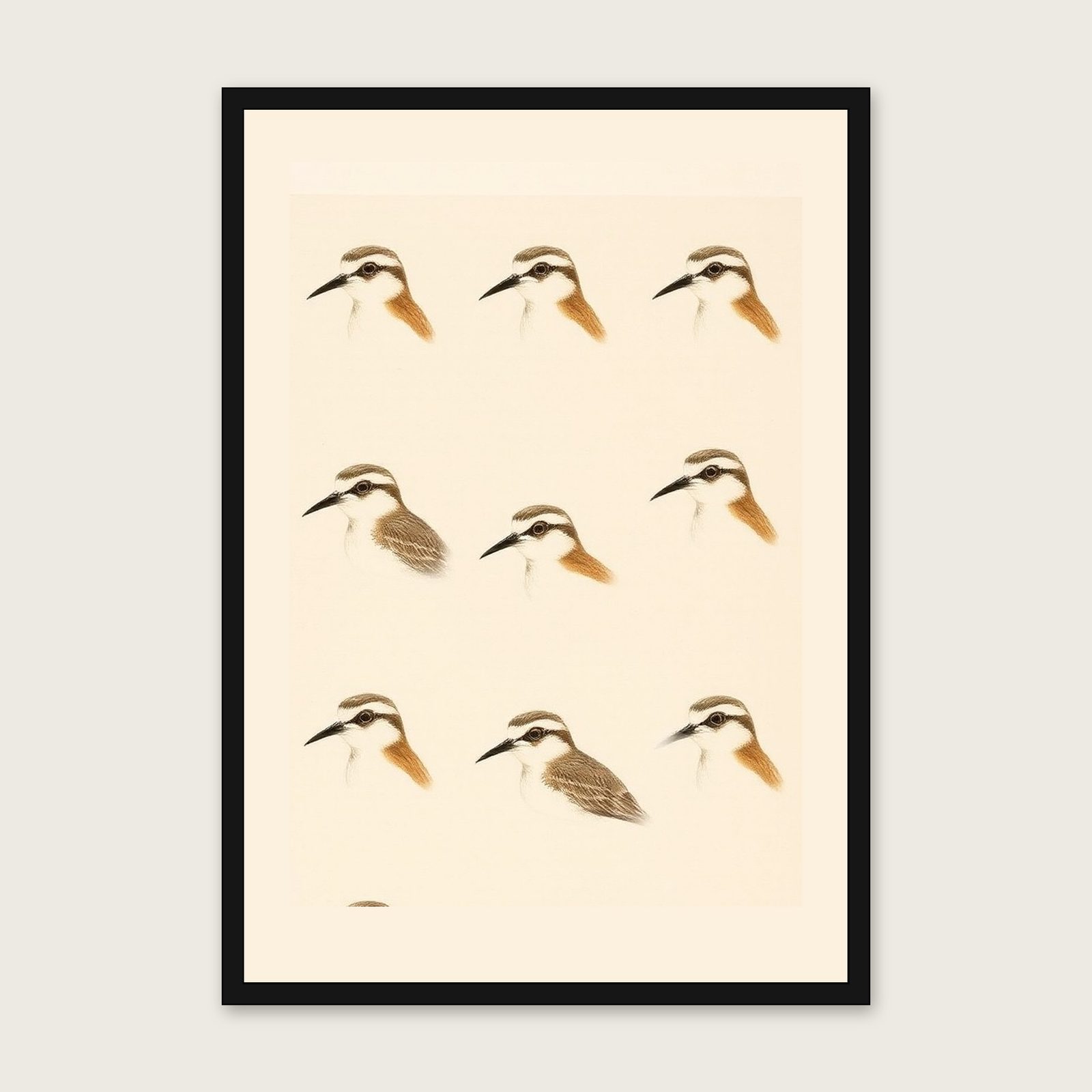 Curlew - Framed Monotype Animal Print in Neutral & Beige shown in a black frame