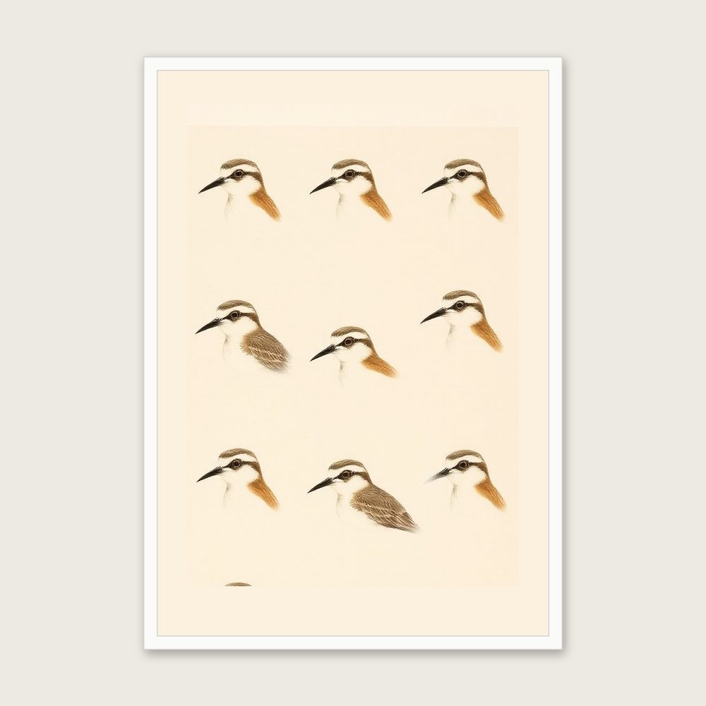 Curlew - Framed Monotype Animal Print in Neutral & Beige - White Frame, A3