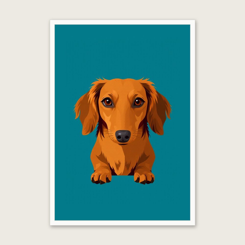 Dachshund Long Haired Animal Wall Art - Framed Bold Colour Screen Print - White Frame, A3