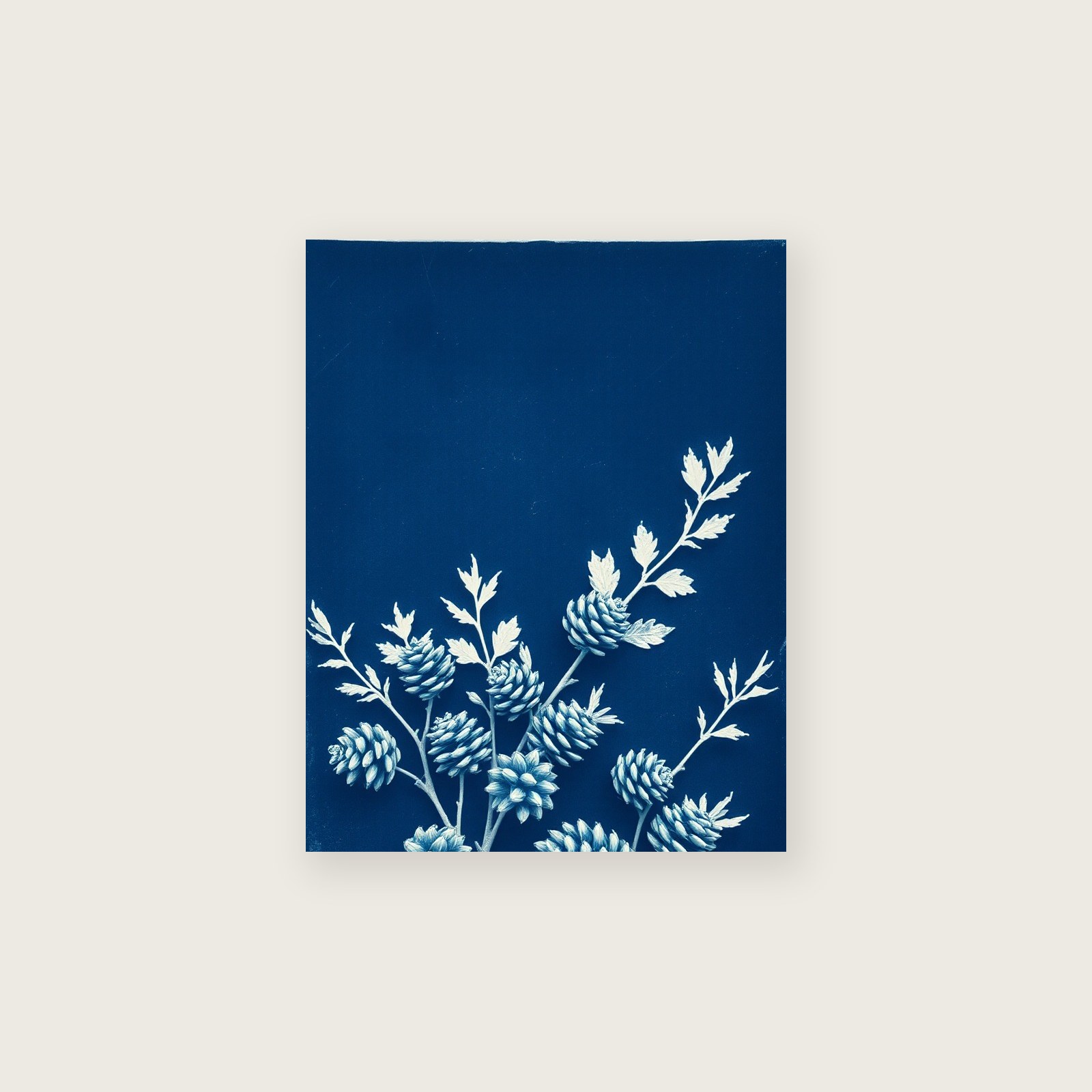 Alder Cones Cyanotype Wall Art - Two Tone Print - Unframed Print, A3
