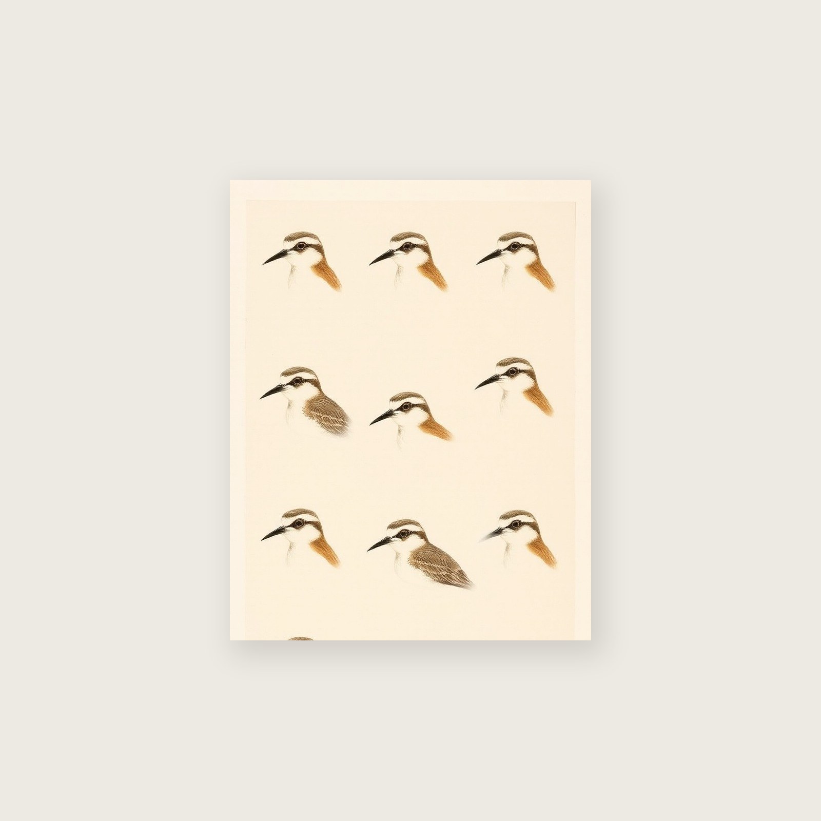 Curlew - Framed Monotype Animal Print in Neutral & Beige, unframed print